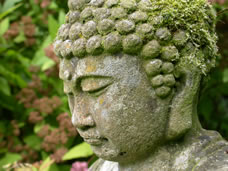 head of stone buddha